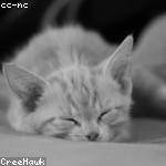 Eloise Bauch Profile Picture