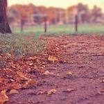 Abner Yost Profile Picture