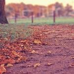 Abner Yost Profile Picture