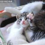 Ora Schultz Profile Picture