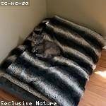 Wade Zieme Profile Picture