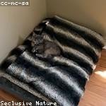 Wade Zieme Profile Picture