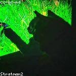 Monserrat Ferry Profile Picture