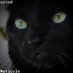 Mason Rath Profile Picture