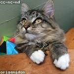 Christy Kuphal Profile Picture