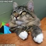 Christy Kuphal Profile Picture