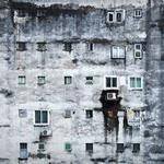 Warren Ryan Profile Picture