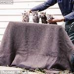 Rowland Kemmer Profile Picture