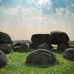 Dashawn Romaguera Profile Picture