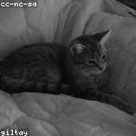 Bernice Reinger Profile Picture