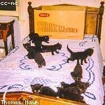 Marian Anderson Profile Picture