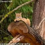 Vernice Schoen Profile Picture