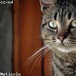 Blanca Bradtke Profile Picture