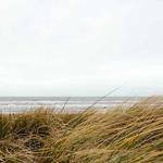 Edd Batz Profile Picture