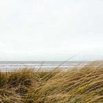 Edd Batz Profile Picture