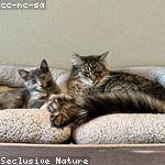 Katarina Mraz Profile Picture