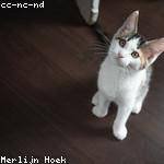 Breanne Barrows Profile Picture