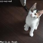 Breanne Barrows Profile Picture