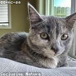 Myles Hermiston Profile Picture