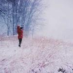 Margaretta Simonis Profile Picture