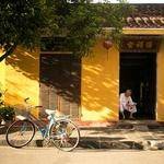 Gaetano Metz Profile Picture