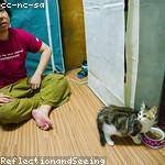 Tre Wehner Profile Picture