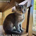 Cleta Shanahan Profile Picture