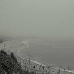 Lucy Kshlerin Profile Picture