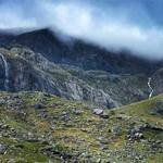 Vivianne Nikolaus Profile Picture