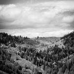 Pierce Kessler Profile Picture