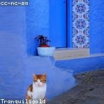 Jesse Ritchie Profile Picture