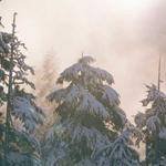 Talia Lynch Profile Picture