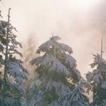 Talia Lynch Profile Picture