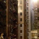 Albin Schiller Profile Picture