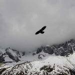 Gerardo Stokes Profile Picture