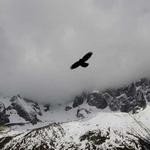 Gerardo Stokes Profile Picture