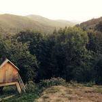 Garnett Sauer Profile Picture