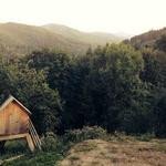 Garnett Sauer Profile Picture