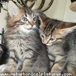 Elda Daugherty Profile Picture