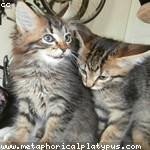 Elda Daugherty Profile Picture