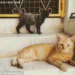 Natasha Eichmann Profile Picture